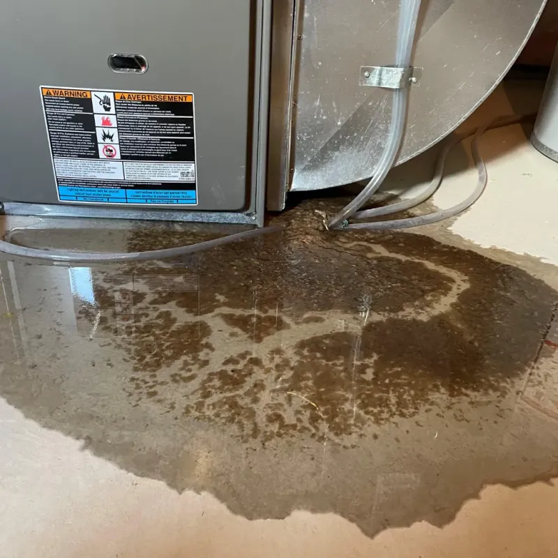 Appliance Leak Cleanup in Ronan, MT