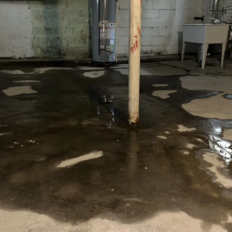 Emergency Water Extraction And Removal in Ronan, MT